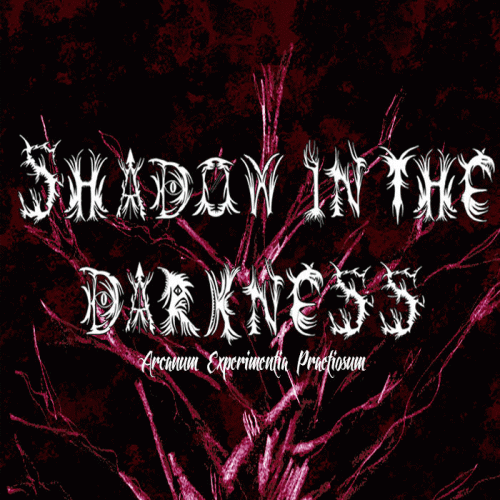 Shadow In The Darkness : Arcanum Experimentia Praetiosum